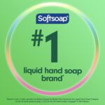 Softsoap Moisturizing Liquid Hand Soap, Milk and Honey, 7.5 Fluid Ounce, Pack of 6 (Package may vary)