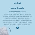 Method Gel Hand Soap, Sea Minerals, Biodegradable Formula, 12 fl oz (Pack of 3)