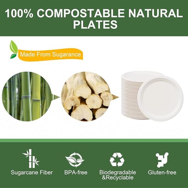 100% Compostable Paper Plates, 125-Pack Heavy Duty Paper Plates Bulk,Biodegradable Bagasse,Eco-Friendly Disposable Dessert Plate for BBQ,Picnic,Party (BPI Certified,Microwaveable)