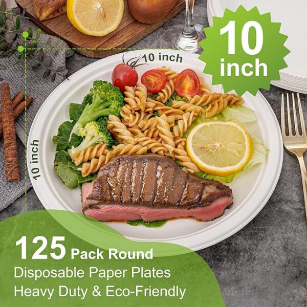 100% Compostable Paper Plates, 125-Pack Heavy Duty Paper Plates Bulk,Biodegradable Bagasse,Eco-Friendly Disposable Dessert Plate for BBQ,Picnic,Party (BPI Certified,Microwaveable)