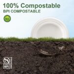 100% Compostable Paper Plates, 125-Pack Heavy Duty Paper Plates Bulk,Biodegradable Bagasse,Eco-Friendly Disposable Dessert Plate for BBQ,Picnic,Party (BPI Certified,Microwaveable)
