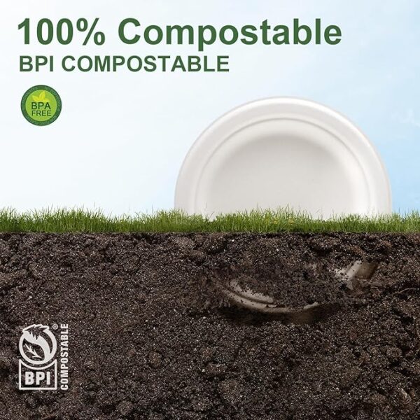 100% Compostable Paper Plates, 125-Pack Heavy Duty Paper Plates Bulk,Biodegradable Bagasse,Eco-Friendly Disposable Dessert Plate for BBQ,Picnic,Party (BPI Certified,Microwaveable)